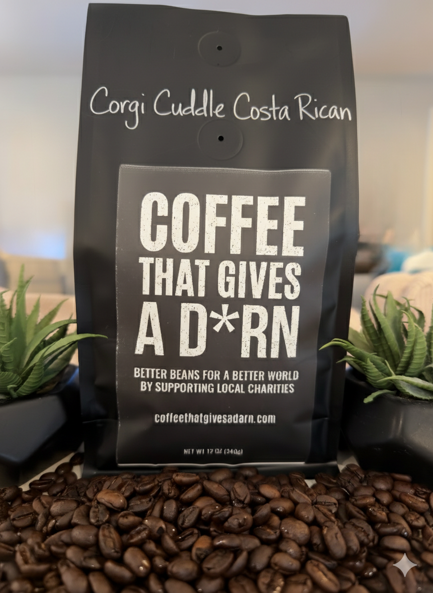 Corgi Cuddle Costa Rica